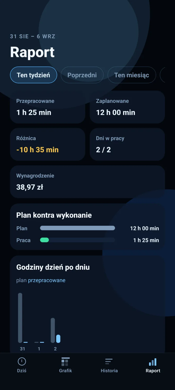 Raport LoyalWork — plan i wykonanie